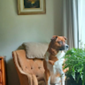 Meet your Posher, Janice